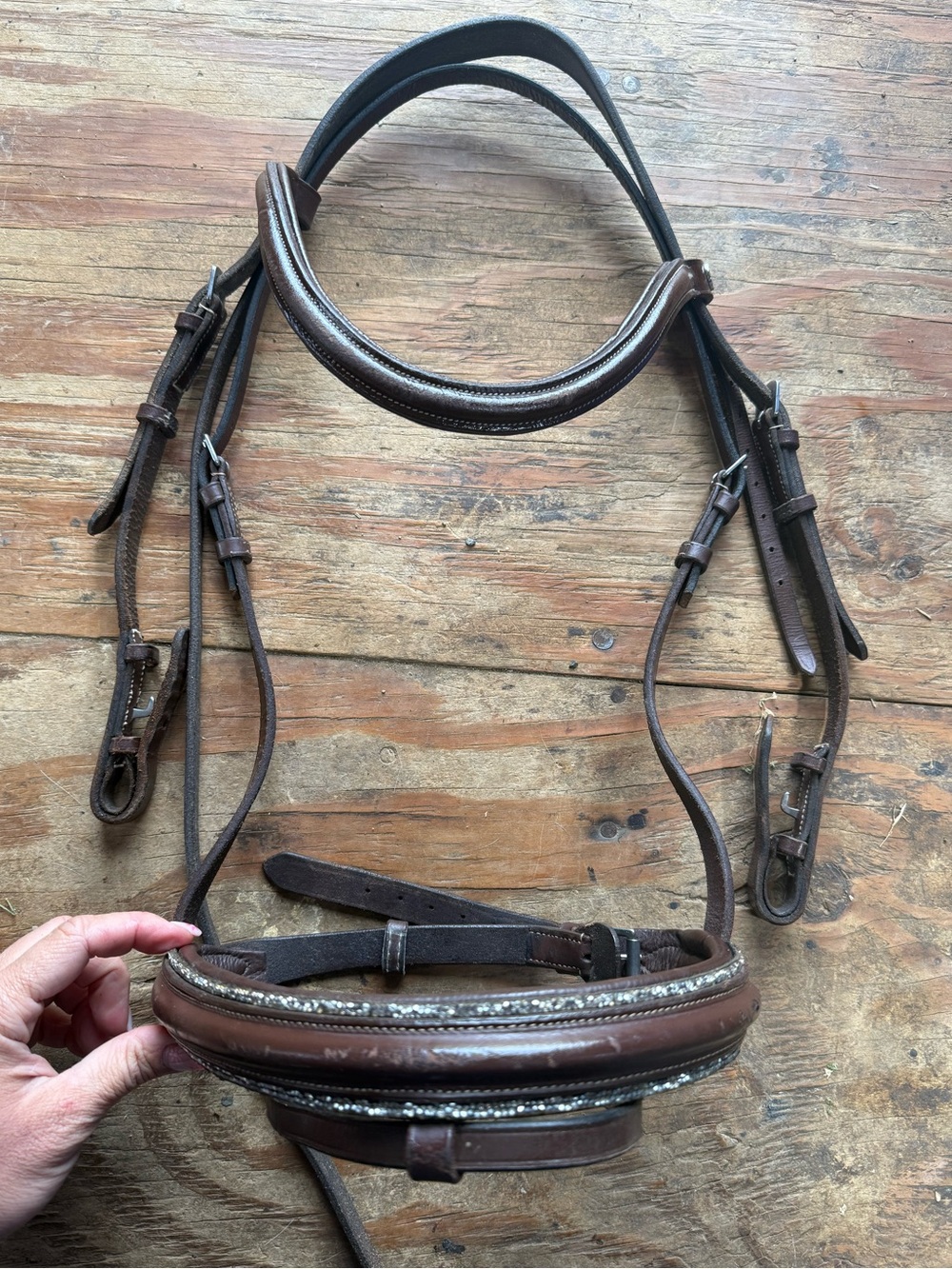 Blingy cob bridle
